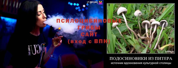 прущие грибы Абинск