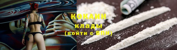 прущие грибы Абинск