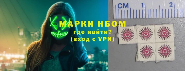 прущие грибы Абинск