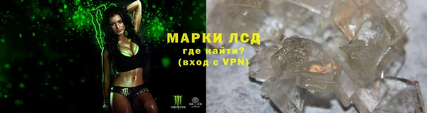 прущие грибы Абинск